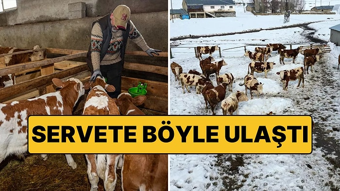 Plazalardan Sıkılıp Köyüne Dönen Mühendis Paraya Para Demiyor!