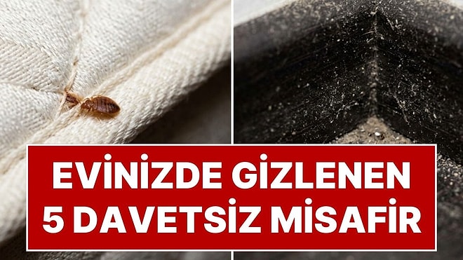 Yatağınızda Saklanan 5 Davetsiz Misafir: Sabahları Kaşıntı ve Isırıklarla Uyananlar Dikkat