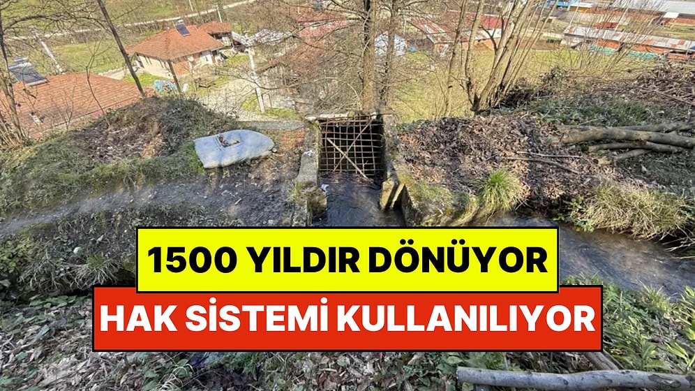 Sakarya’nın 1500 Yıllık Hazinesi: Rumlardan Kaldığı Bilinen Değirmen Hala Kullanılıyor