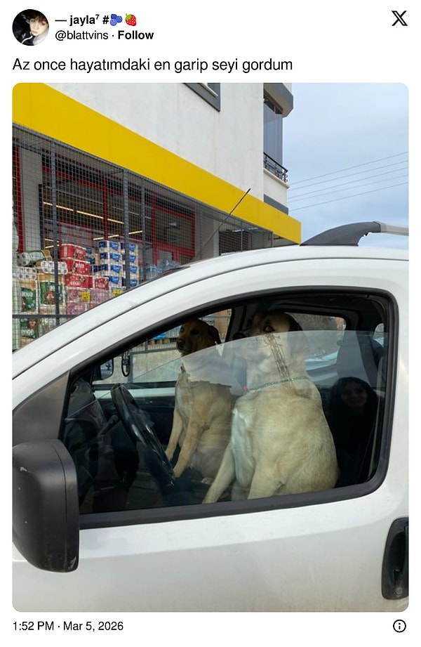 Aynısını onlar da yaşamış...