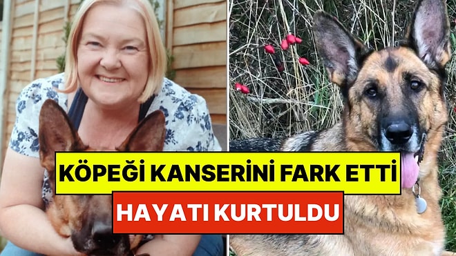 Boşuna İnsanın En İyi Dostu Demiyorlar: "Köpeğim Kanserimi Fark Edip Hayatımı Kurtardı"