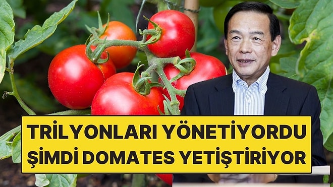 2 Trilyon Doları Yöneten Dev Fon Patronu Şimdi Domates Yetiştiriyor