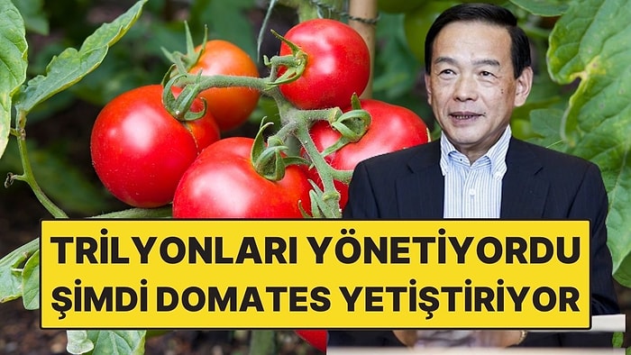 2 Trilyon Doları Yöneten Dev Fon Patronu Şimdi Domates Yetiştiriyor