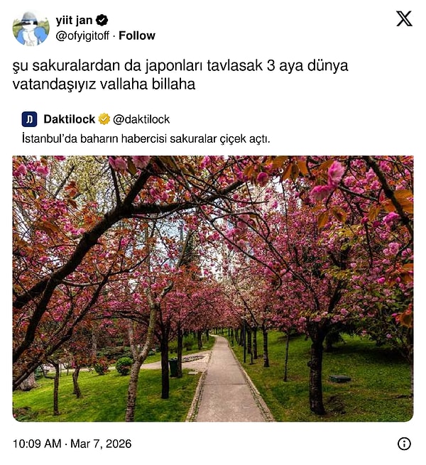 Tek tek liste yapalım.