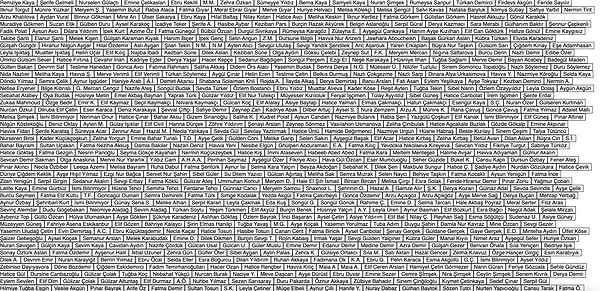 Bu gördüğünüz görselde, öldürülen binlerce kadından sadece bir kısmının ismi yazıyor.