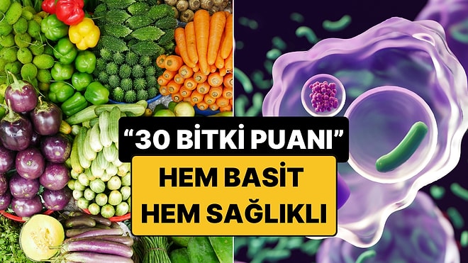 Beslenme Uzmanlarının Yeni Trendi: 30 Bitki Puanı Nedir?