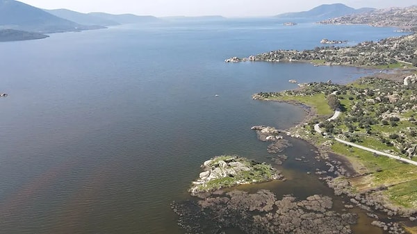 Çok sayıda kuş türü yeniden görülmeye başladı.