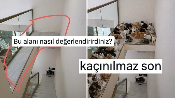 "Bu Alanı Nasıl Değerlendirirdiniz?" Deyip Mizahşörlerin Yaratıcılığını Konuşturan Kişi