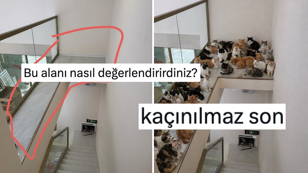 "Bu Alanı Nasıl Değerlendirirdiniz?" Deyip Mizahşörlerin Yaratıcılığını Konuşturan Kişi