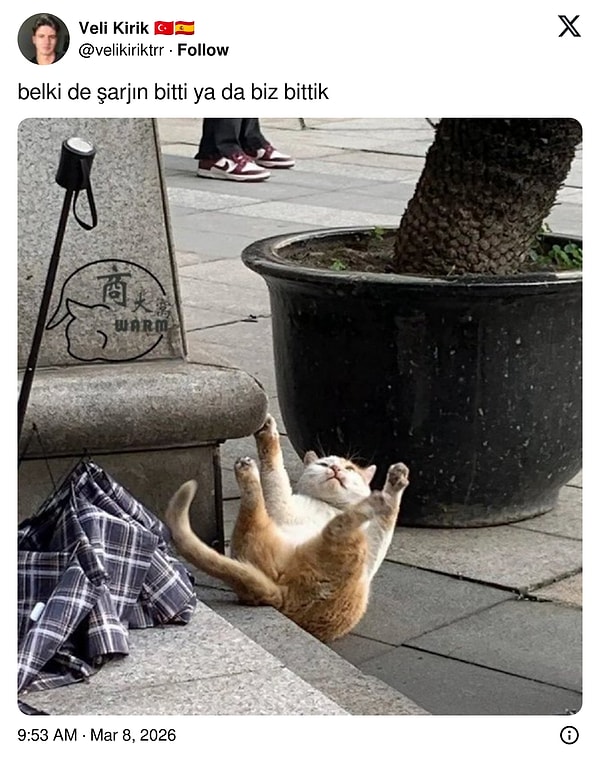 Akımın en iyisi.