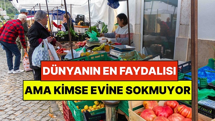 Dünyanın En Faydalı Sebzesi Kıvırcık Lahana Pazara İniyor Ama Alan Yok