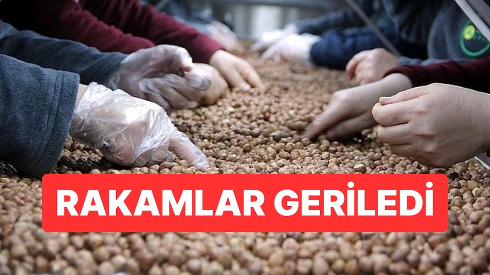 Türkiye’nin Fındık İhracatı 2 Ayda 388 Milyon Doları Aştı