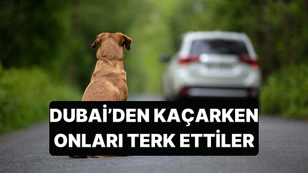 Dubai'den Vicdan Sızlatan Görüntü