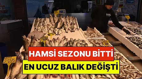 Hamsi Sezonu Bitti, Tezgahlarda En Ucuz Balık İstavrit ve Tirsi Oldu: "Bolluk Devam Edecek"