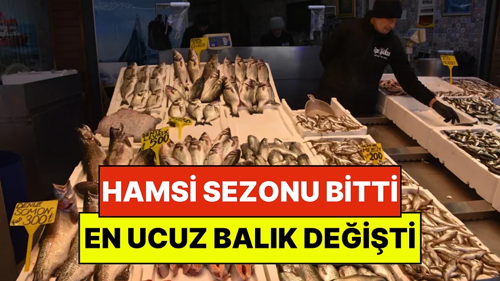 Hamsi Sezonu Bitti, Tezgahlarda En Ucuz Balık İstavrit ve Tirsi Oldu: "Bolluk Devam Edecek"
