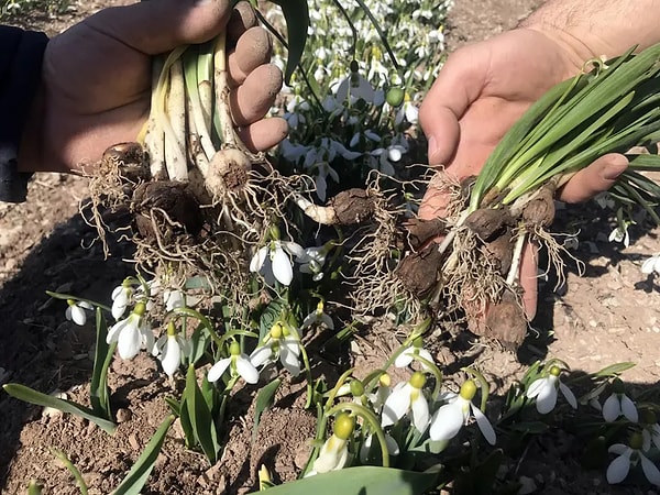 Sürdürülebilir üretimde yeni bir dönem başladı
