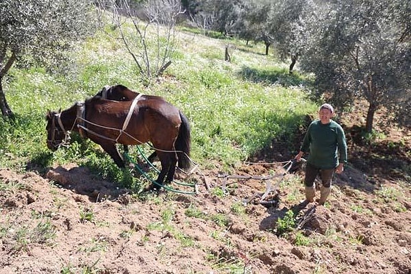 Yeni nesil zor işten kaçıyor mu?
