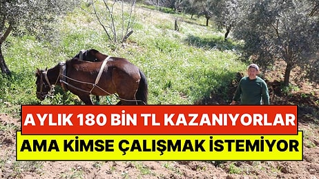 Doktor ve Mühendis Maaşını Sollayan İş: Köyde Çift Sürerek Aylık 180 Bin TL'ye Kadar Kazanıyorlar