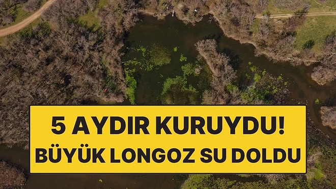 5 Aydır Kuruydu! Türkiye’nin 3’üncü Büyük Longozu Yeniden Canlandı