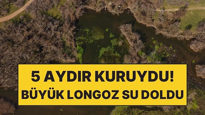 5 Aydır Kuruydu! Türkiye’nin 3’üncü Büyük Longozu Yeniden Canlandı