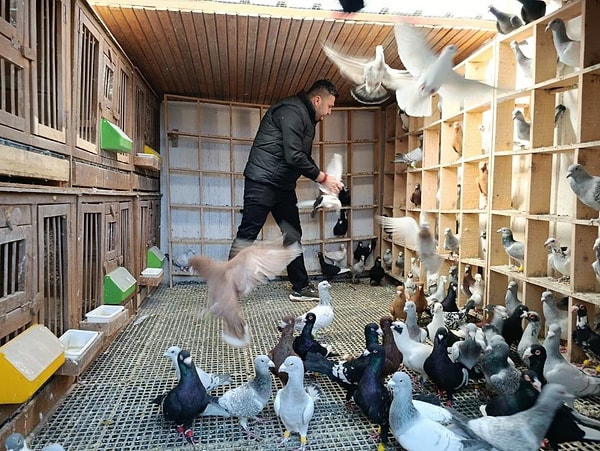 "Özellikle Almanya ve Fransa'ya gönderdim"