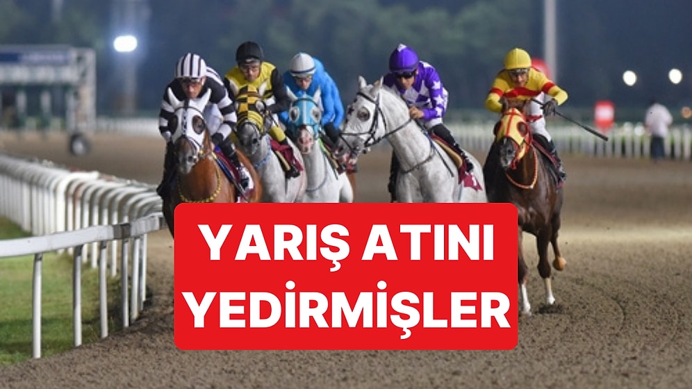 Şampiyon Yarış Atını Kuşbaşı Yapıp Belediyeye Satmışlar: Gerçek Çiple Ortaya Çıktı