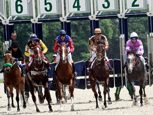 DNA analizi acı gerçeği ortaya çıkardı.