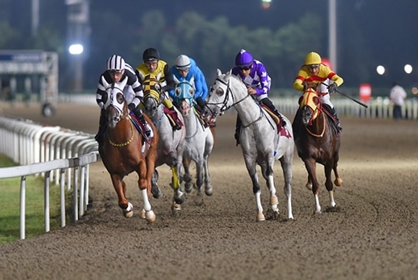 Dana eti diye satmışlar.