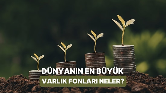 Dr. Hakan Özerol Sıralıyor: Dünyanın En Büyük 5 Varlık Fonu
