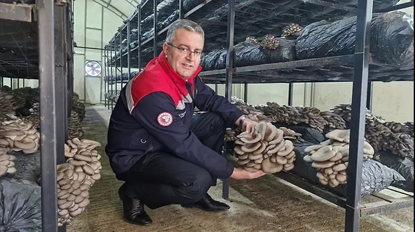 Samsun’un Çarşamba ilçesinde son yıllarda hızla yaygınlaşan istiridye mantarı üretimi, bölge ekonomisine önemli katkı sağlamaya başladı.