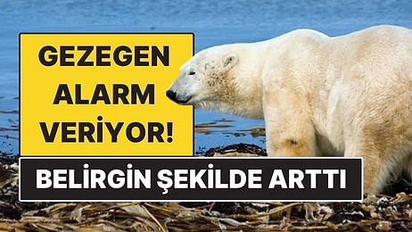 Yeni Araştırma Ortaya Koydu: Küresel Isınma 2015’ten Sonra Belirgin Şekilde Hızlandı