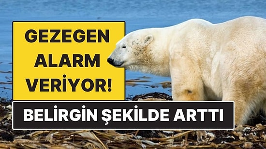 Yeni Araştırma Ortaya Koydu: Küresel Isınma 2015’ten Sonra Belirgin Şekilde Hızlandı