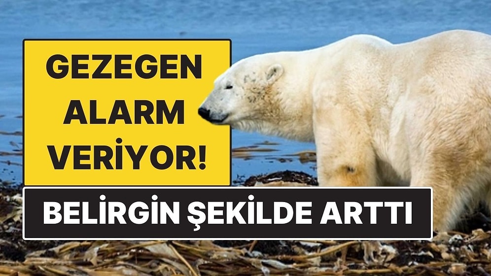 Yeni Araştırma Ortaya Koydu: Küresel Isınma 2015’ten Sonra Belirgin Şekilde Hızlandı