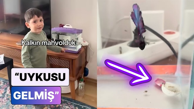 "Uykusu Gelmiş": Balığının Hareketsiz Durduğunu Fark Eden Minik Annesine Zor Anlar Yaşattı