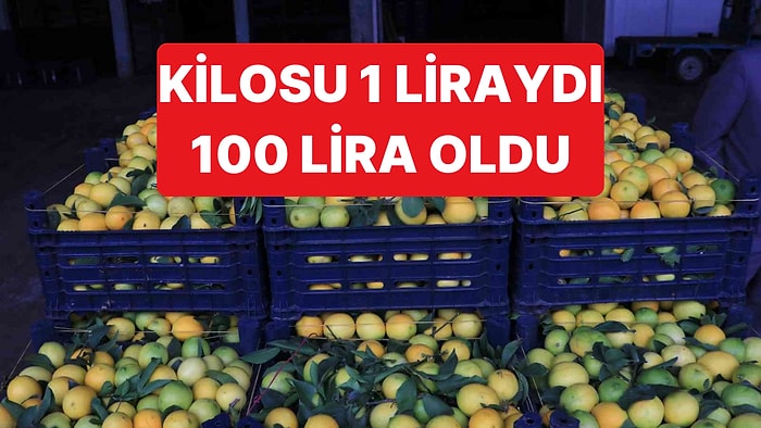 Plansız Üretim Sonucunda Limonun Kilosu İki Yılda 1 Lira'dan 100 Lira'ya Geldi