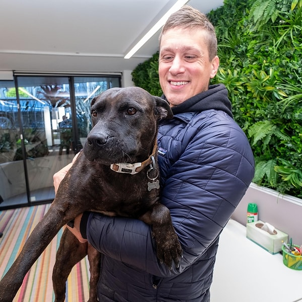 Tümörde yüzde 75 küçülme görüldü