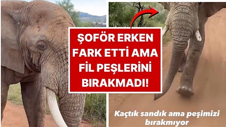 Safari Turuna Katılan Bir İçerik Üreticisi Filin Saldırısını Saniye Saniye Kaydetti