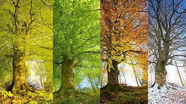 1. İlk sorumuzla başlayalım: Hangi mevsimin insanısın?