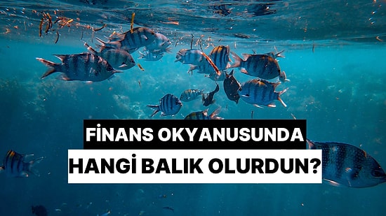 Finans Okyanusunda Sen Hangi Balık Olurdun?