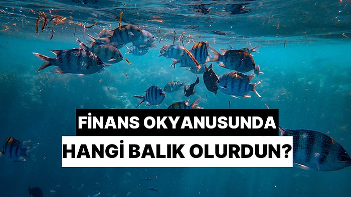 Finans Okyanusunda Sen Hangi Balık Olurdun?