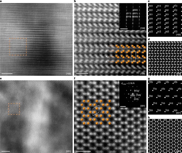 Yeni çalışma, tartışmayı kökten değiştirebilir