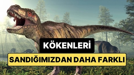 Dinozorlar Asteroit Çarpmadan Önce Zaten Yok Olma Sürecine mi Girmişti?
