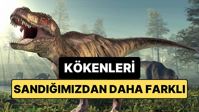 Dinozorlar Asteroit Çarpmadan Önce Zaten Yok Olma Sürecine mi Girmişti?