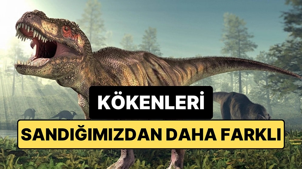 Dinozorlar Asteroit Çarpmadan Önce Zaten Yok Olma Sürecine mi Girmişti?