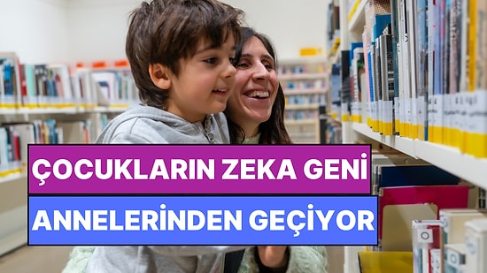 Zekiyseniz Sebebi Anneniz! Bilim Zeka Geninin Anneden Geçtiğini Açıkladı