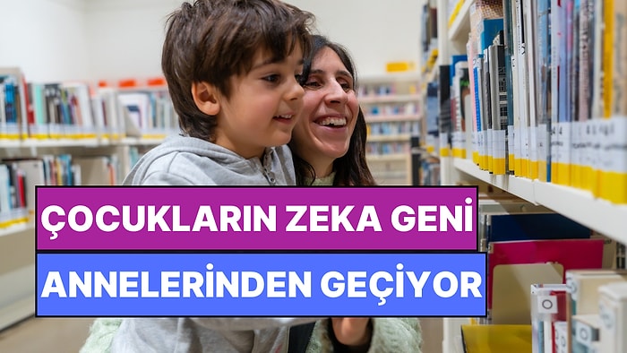 Zekiyseniz Sebebi Anneniz! Bilim Zeka Geninin Anneden Geçtiğini Açıkladı