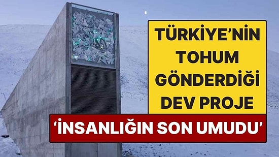 'İnsanlığın Son Umudu' Denilen Kıyamet Ambarı: Türkiye’nin de Tohum Gönderdiği Dev Proje