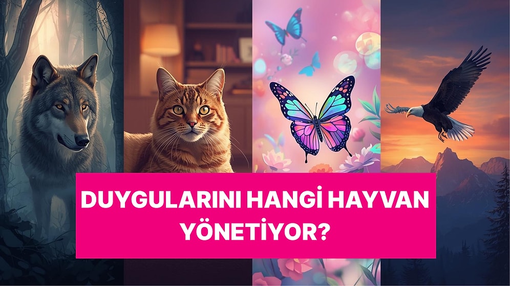 Duygusal Yönün Hangi Hayvan Gibi?