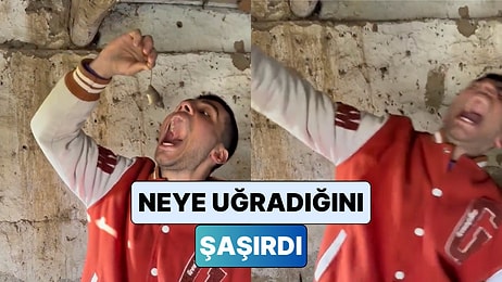 Fareyle Fotoğraf Çekilmek İçin Ağzına Sokmaya Çalışan Genç Fare Tarafından Isırıldı