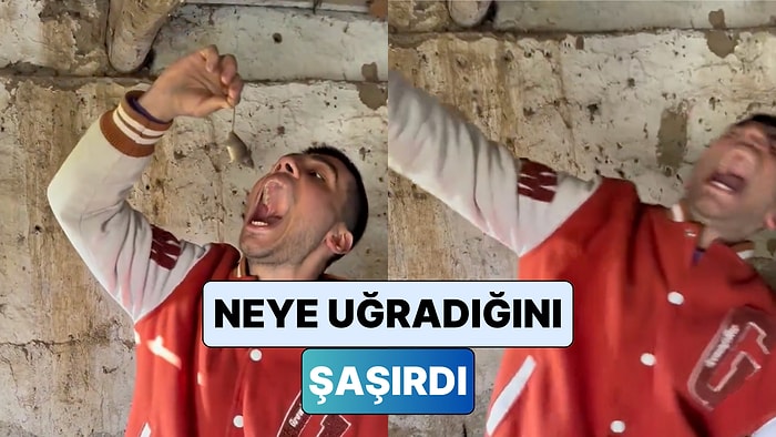 Fareyle Fotoğraf Çekilmek İçin Ağzına Sokmaya Çalışan Genç Fare Tarafından Isırıldı